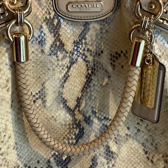 COACH Madison Lindsey python satchel - Picture 10 of 16